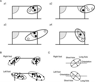 Quantification in shooting precision for preferred and non-preferred foot in college soccer players using the 95% equal confidence ellipse